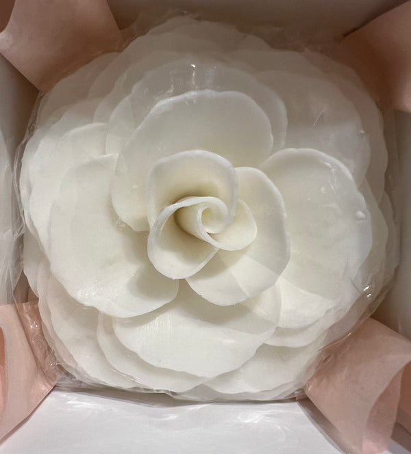 Graceful Day Gardenia