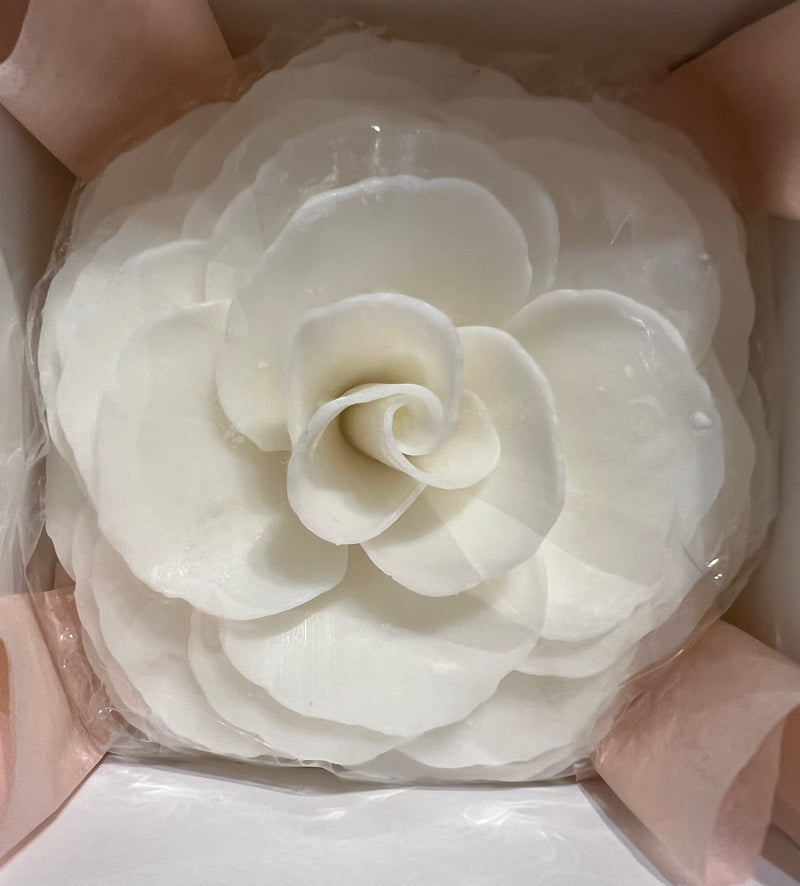 Graceful Day Gardenia