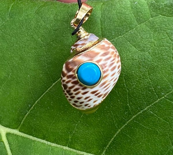 Natural Shell and Turquoise Charm