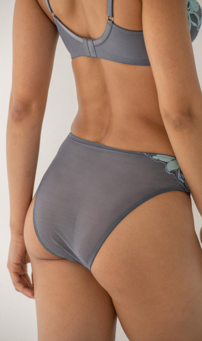 Roxanne Embroidered High Leg Mesh Brief